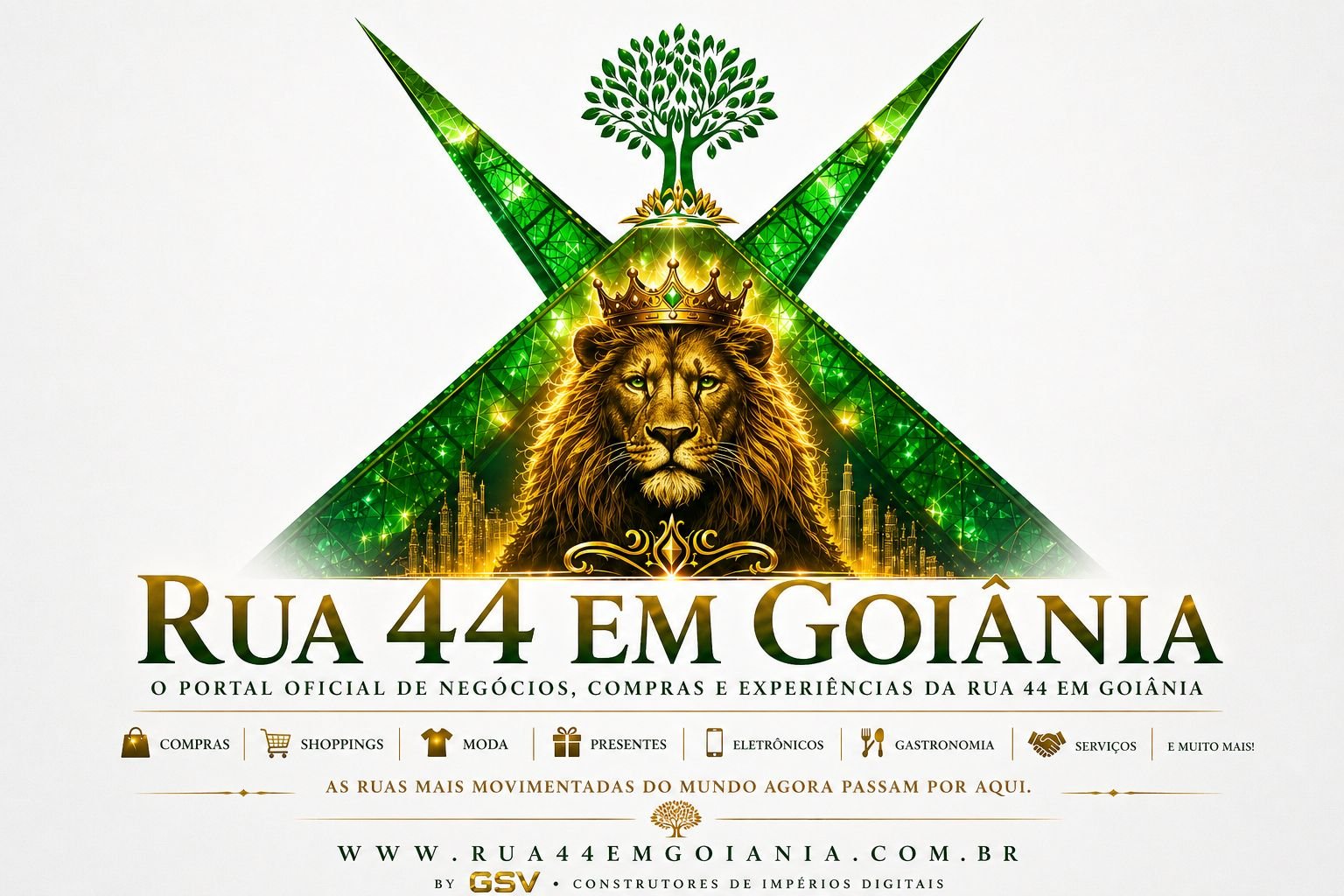 Rua 44 em Goiânia: Compras, Moda, Atacado, Logística e Negócios